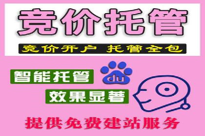 深度解析：百度竞价推广运营的五大成功案例